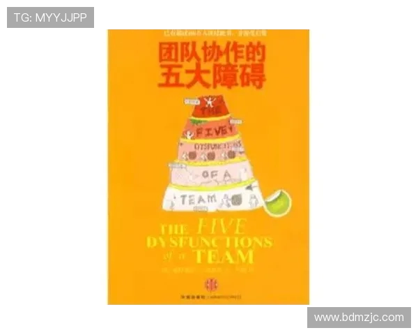 杭州足球队阵地战革新探索：战术创新与团队协作的完美结合